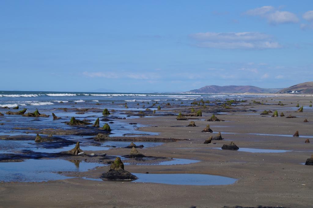 Yha Borth Hostel Exterior foto
